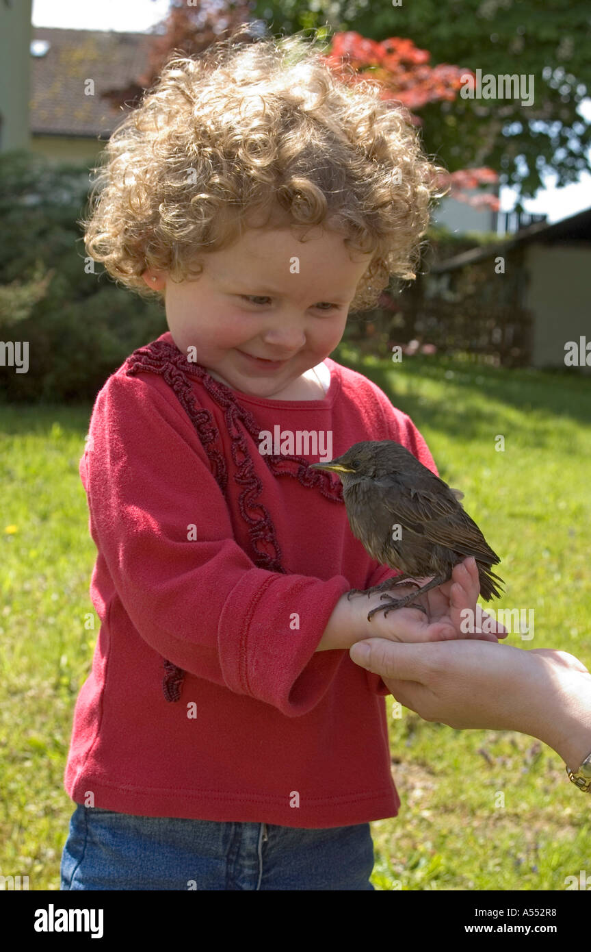 Bambina è felice su un uccello nelle sue mani Foto Stock