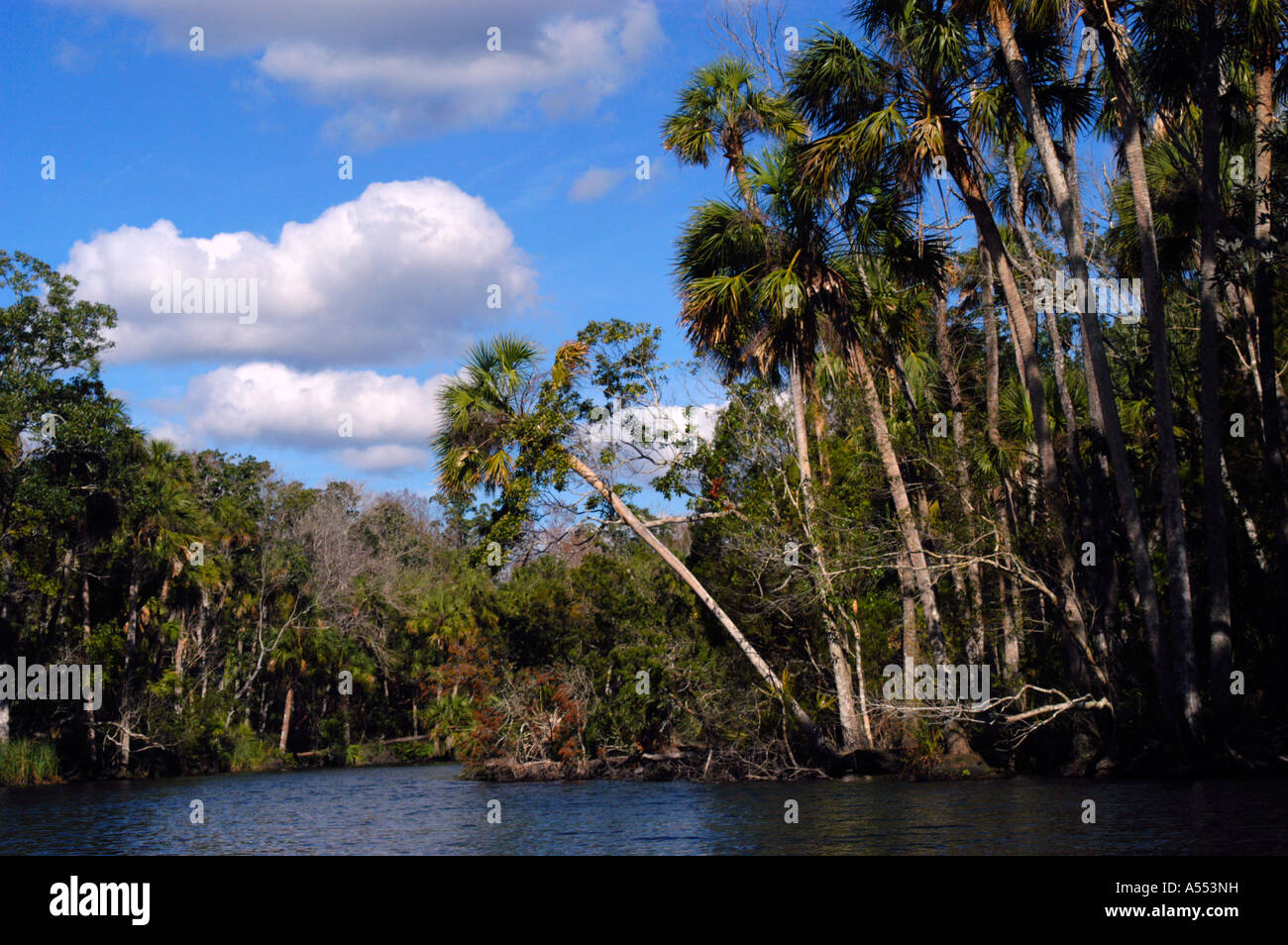 Chassahowitzka National Wildlife Refuge costa del Golfo della Florida Foto Stock