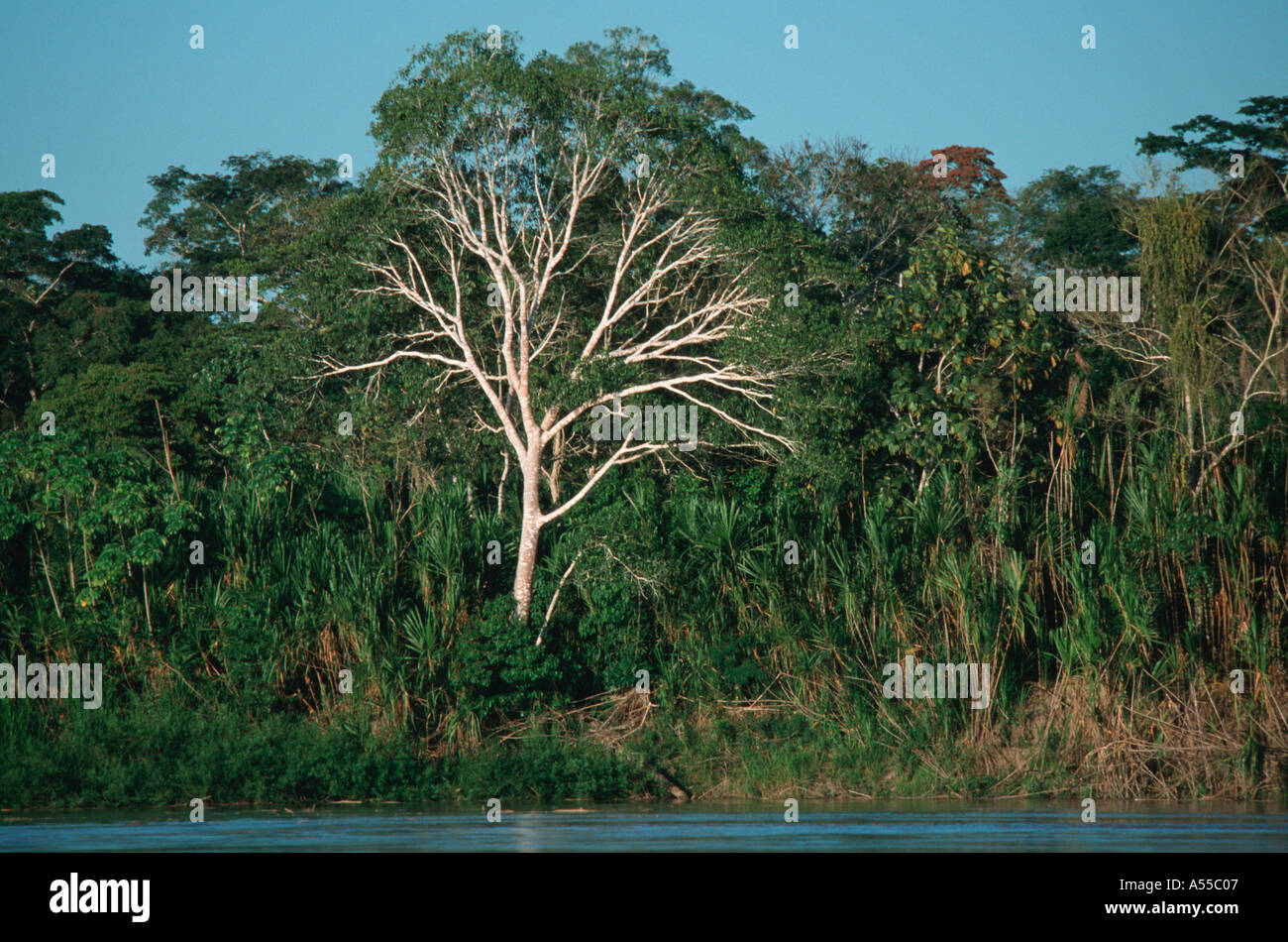 Fiume di Madre de Dios Puerto Maldonado in Perù Foto Stock
