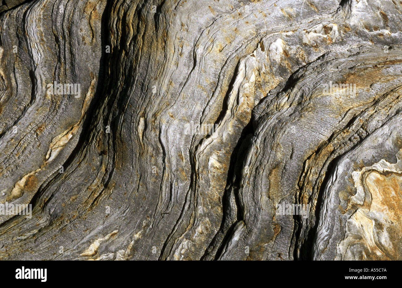 Metamorfico QUARTZOSE MICA SCISTO WESTERN KINTYRE Scozia Scotland Foto Stock