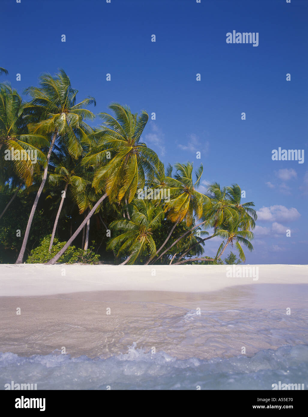 Tropical Beach Maldive Oceano Indiano Asia Foto Stock