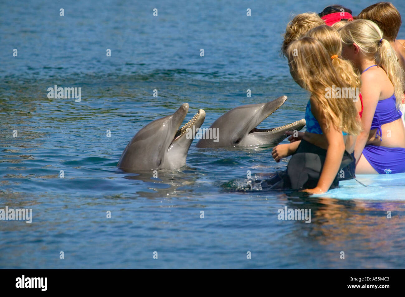 I bambini interagiscono con i delfini Roatan Bay Islands Honduras Foto Stock