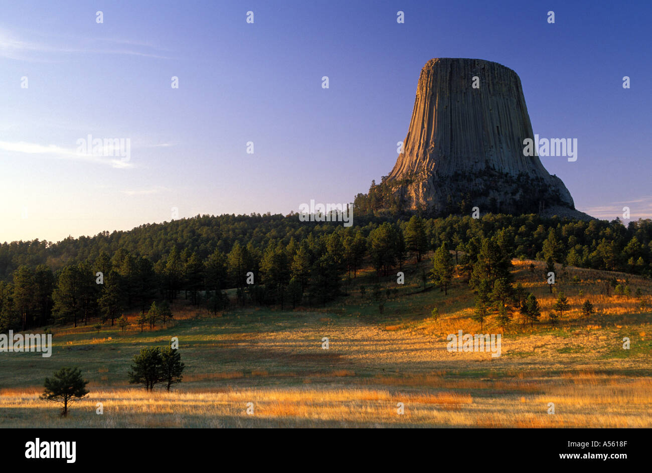 Wyoming Devils Tower Monumento Nazionale di mattina presto vista da Joyner Ridge Trail Foto Stock
