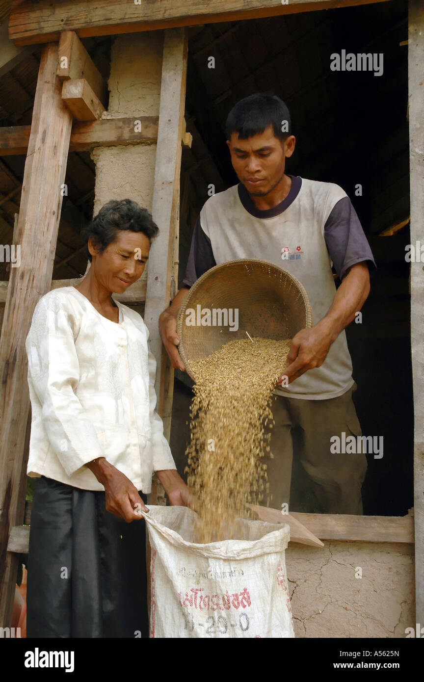 Painet ix1974 Cambogia donna prendendo il riso banca comunitaria stabilito evitare penurie alimentari stagione secca Kampong Thom paese Foto Stock