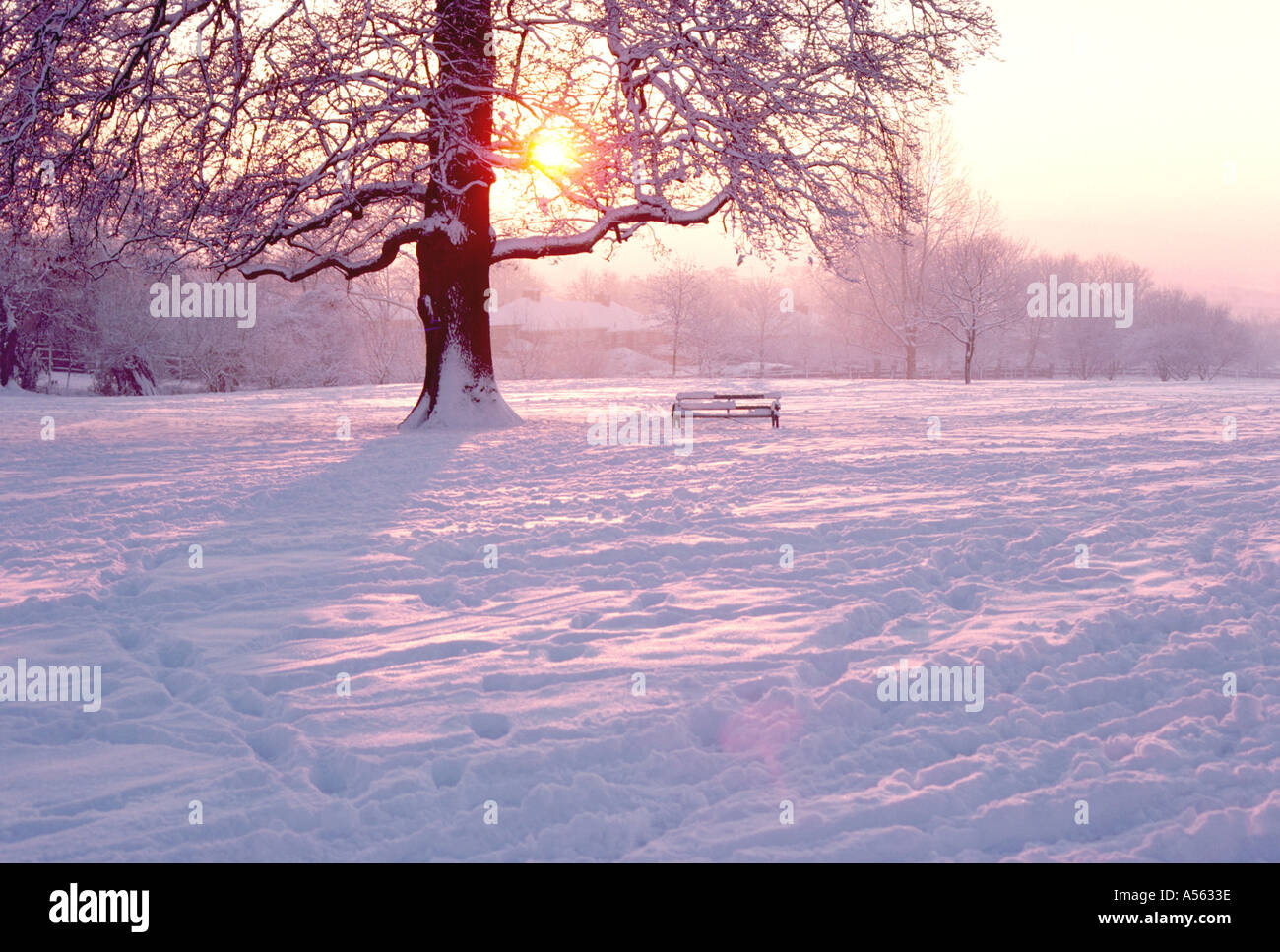 Tramonto in inverno nel Parco Oxford Foto Stock