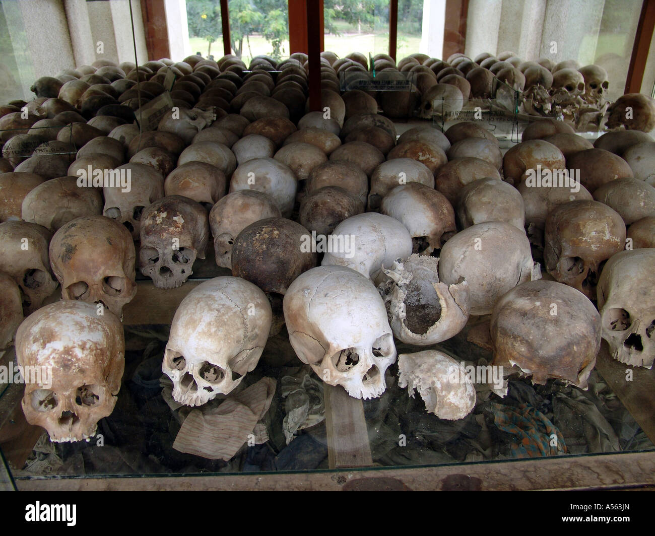 Painet ix2060 Cambogia teschi persone uccise dai khmer rossi killing fields monumento nazionale Pnom Penh utilizzare australia Foto Stock