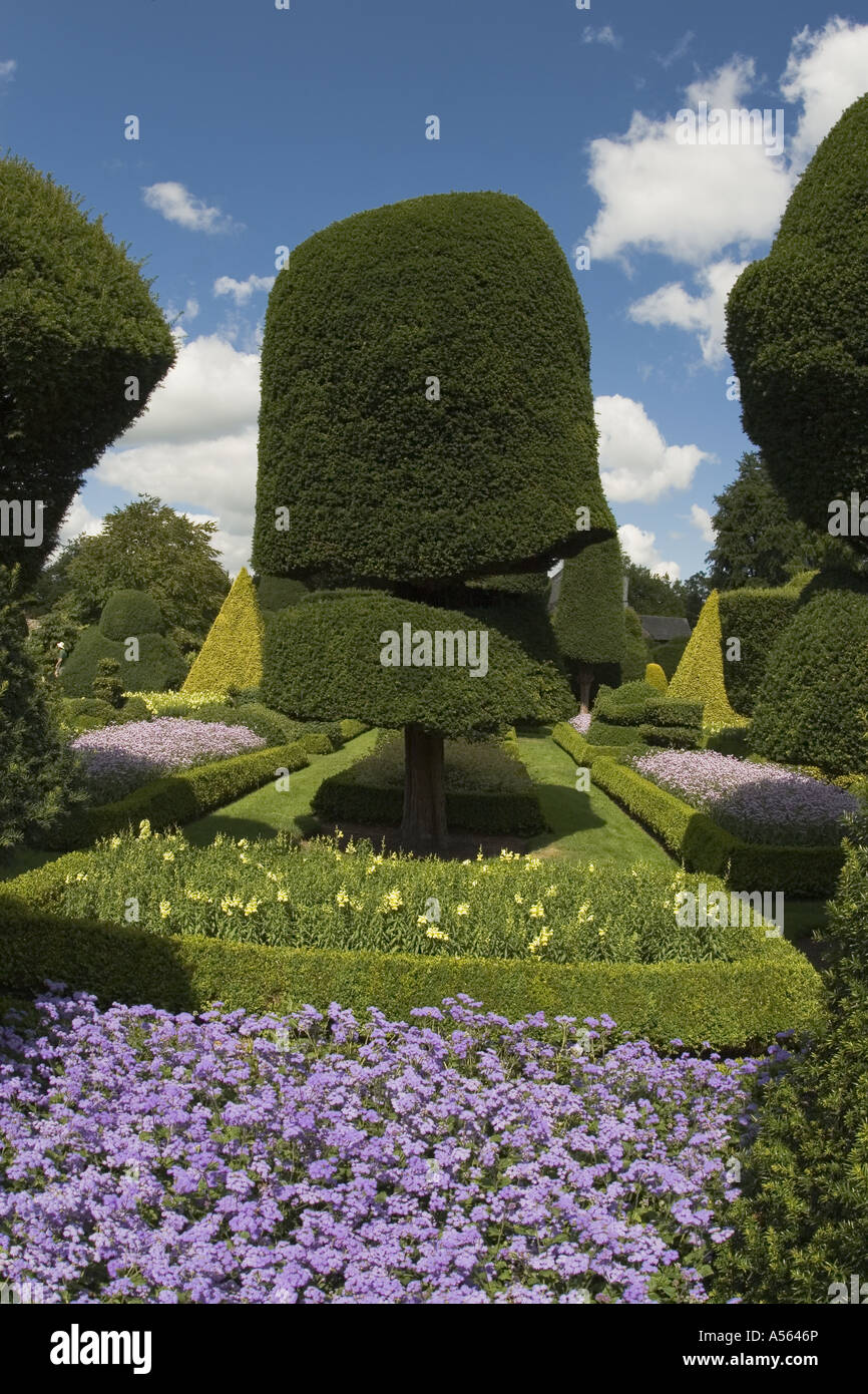 Famosa in tutto il mondo Topiaria da giardini a Levens Hall Lake District inglese Foto Stock