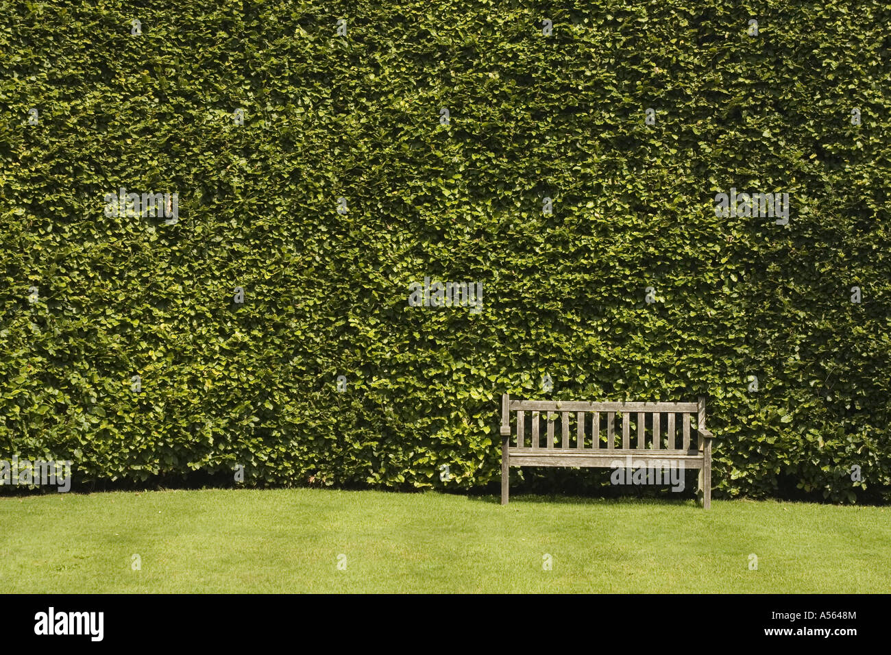 Panca in legno e alte Hedge a Levens Hall Giardino Topiaria da Lake District REGNO UNITO Inghilterra Foto Stock