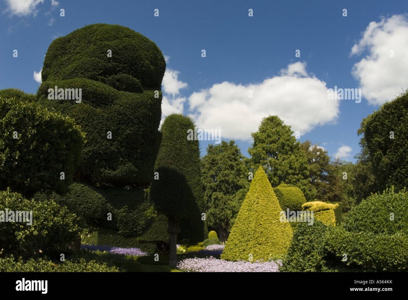 Levens Hall Giardino Topiaria da Lake District REGNO UNITO Inghilterra Foto Stock