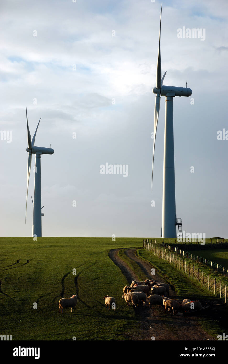 Di generazione a turbina eolica Anglesey. Foto Stock