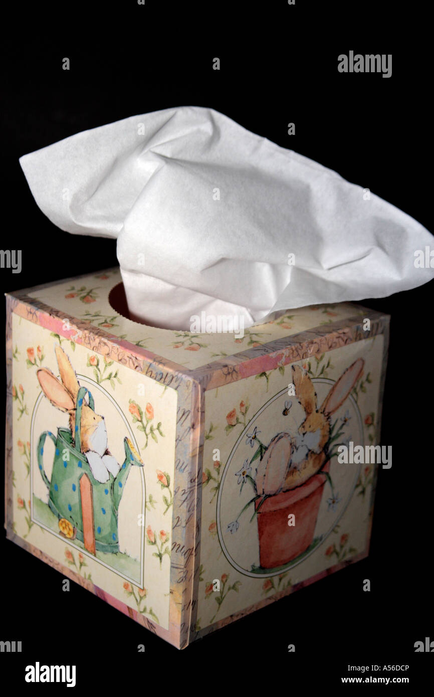 Una scatola di tessuti. Foto Stock