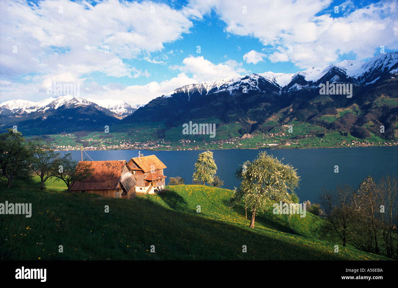 Europa Svizzera Sarnen Lago di Sarnen Agriturismo prato in primavera Foto Stock