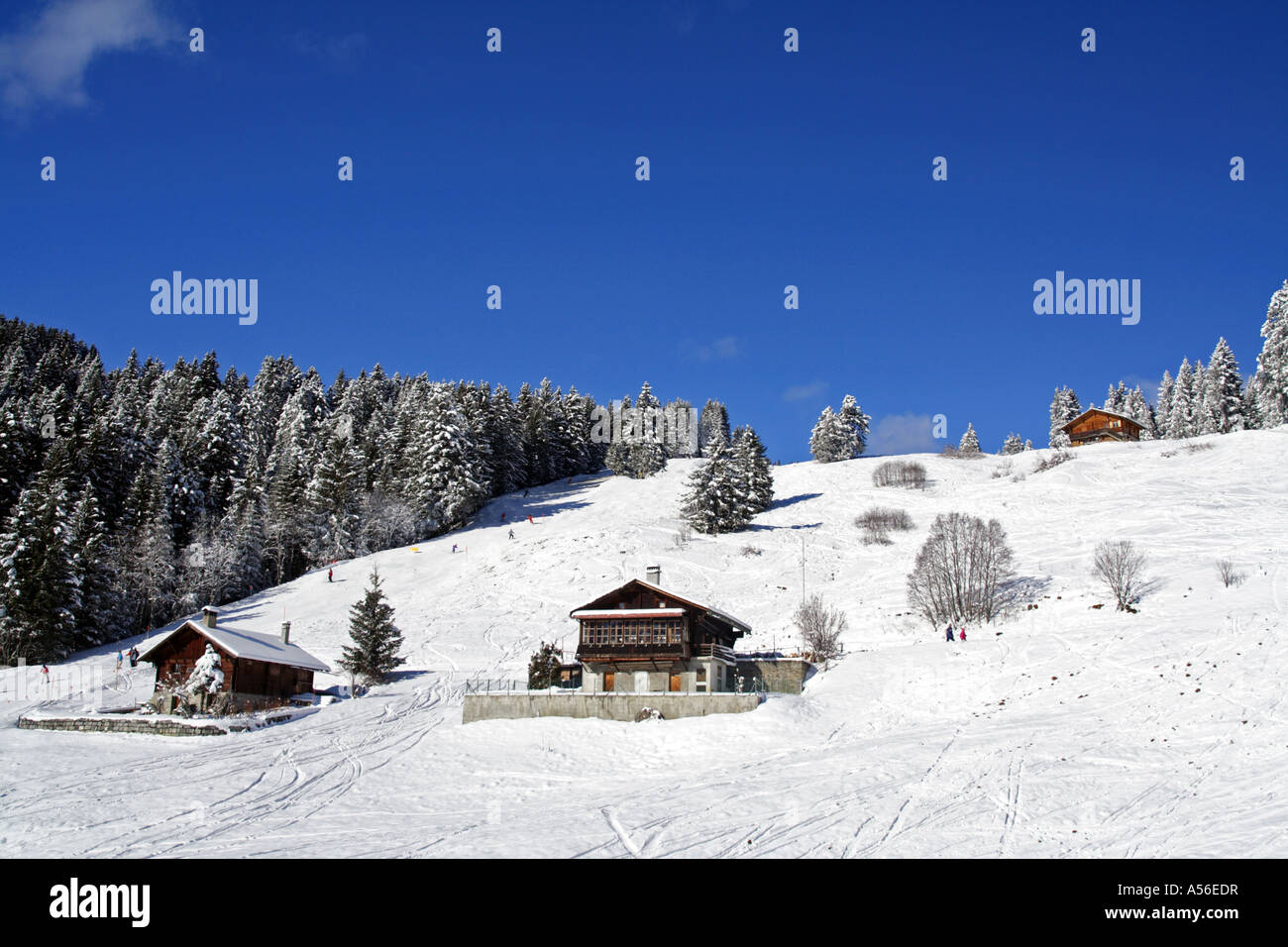Swiss Chalet nella località sciistica di Villars sur Ollon, Canton Vaud, Svizzera Foto Stock