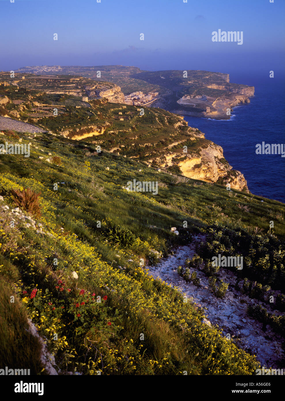 Vista del villaggio di pescatori di Xlendi a sua cove sul robusto costa sud occidentale di Gozo Malta Foto Stock Vista del villaggio di pescatori di Xlendi a sua cove sul robusto costa sud occidentale di Gozo Malta Foto Stock