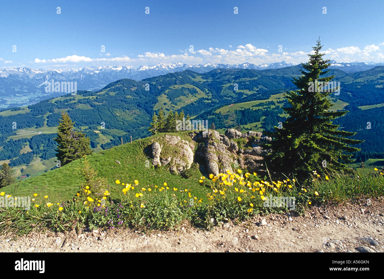 Blick aus der Nagelfluhkette auf die Hauptkette der Allgaeuer Alpen Foto Stock