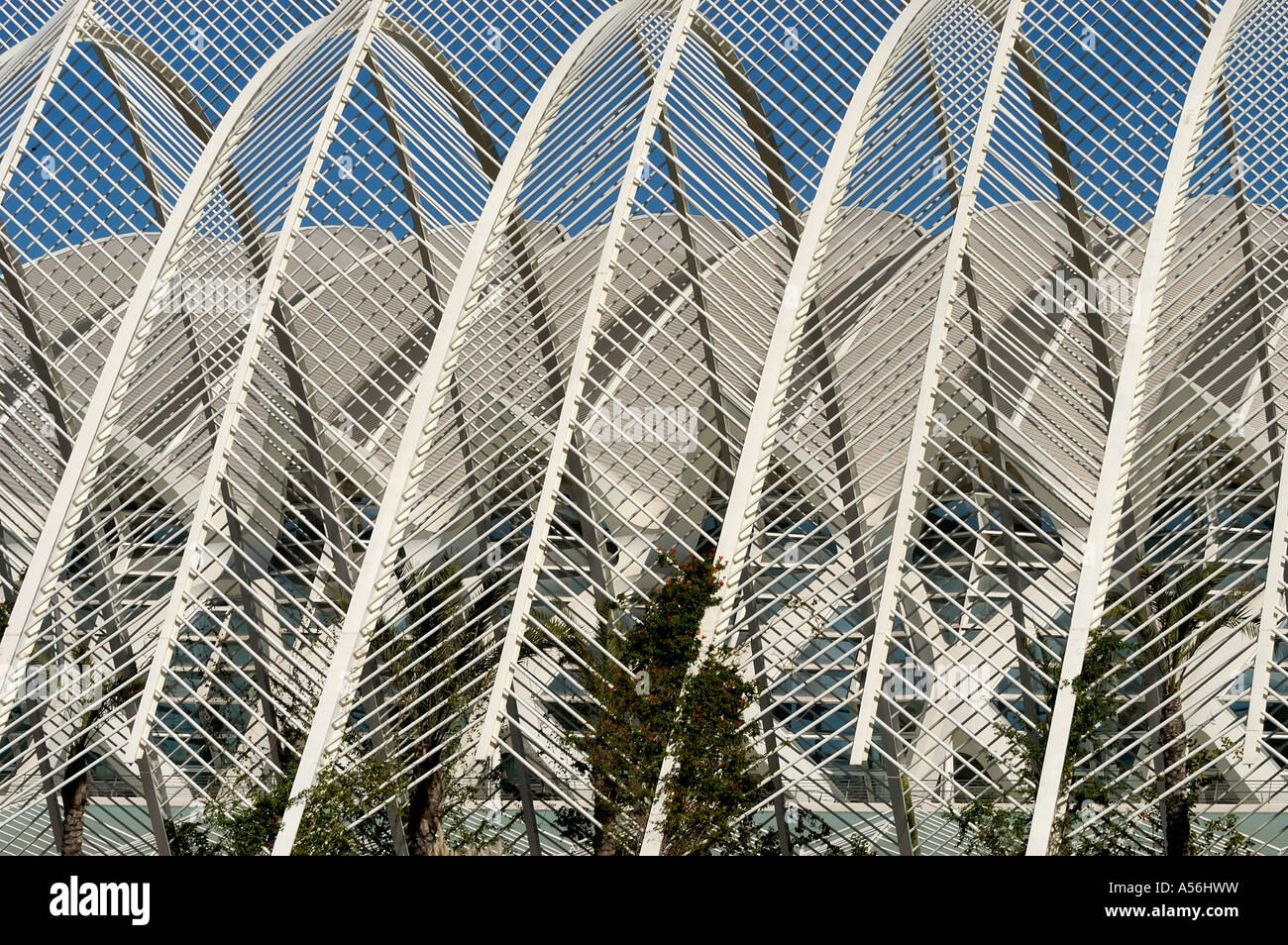 Contemporary xxi secolo architettura . Giardini della Città delle Arti e delle Scienze sul vecchio fiume Turia bed , Valencia Foto Stock