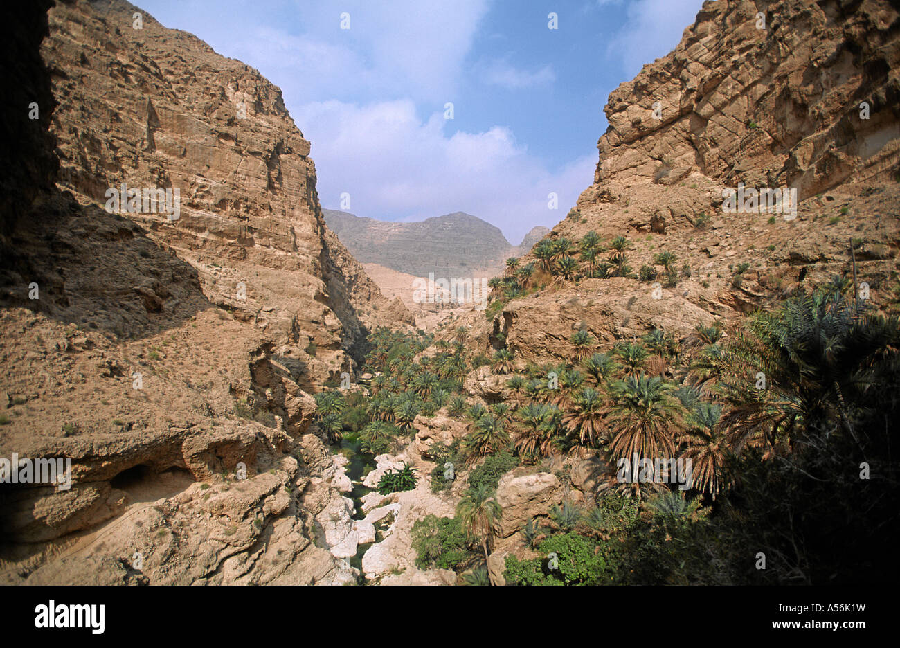 Wadi Tiwi Asien Oman Foto Stock