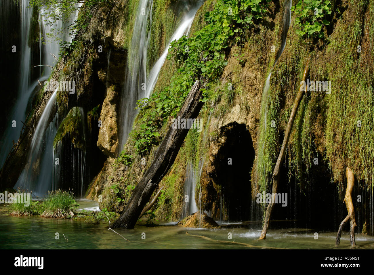 Dettaglio cascate eines Nationalpark Plitvicer visto Kroatien dettaglio di una cascata il Parco Nazionale dei Laghi di Plitvice in Croazia Foto Stock