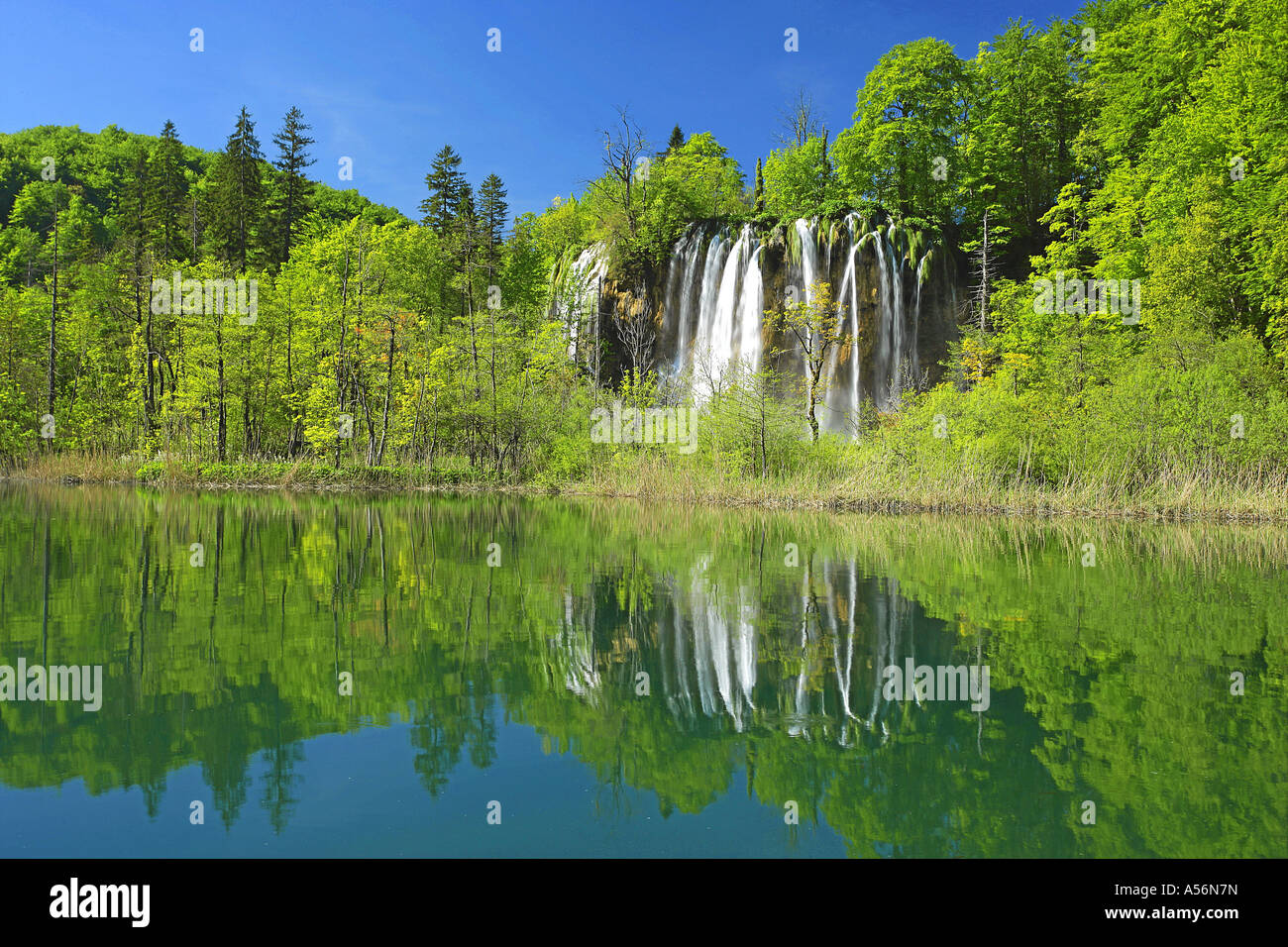 Cascata presso i laghi superiori con la riflessione il Parco Nazionale dei Laghi di Plitvice in Croazia Foto Stock