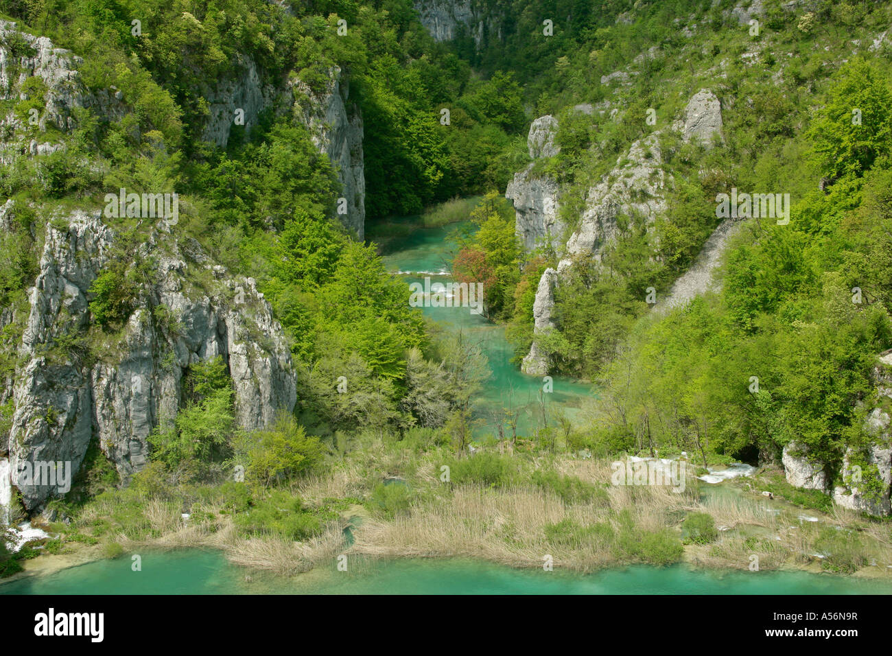 Plitvicer visto Kroatien visualizzare nel canyon intorno ai laghi inferiori il Parco Nazionale dei Laghi di Plitvice in Croazia Foto Stock