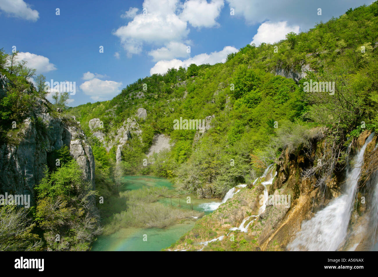 Plitvicer visto Kroatien visualizzare nel canyon intorno ai laghi inferiori il Parco Nazionale dei Laghi di Plitvice in Croazia Foto Stock