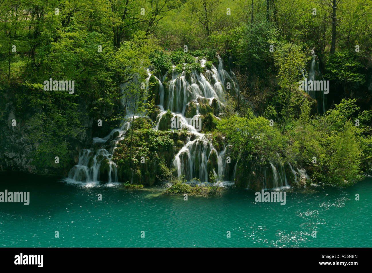 Kroatien cascata presso uno dei laghi superiori con 'turqoise' acqua il Parco Nazionale dei Laghi di Plitvice in Croazia Foto Stock