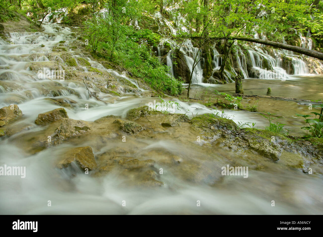 Plitvicer visto Kroatien cascate di acqua attraverso la foresta Parco Nazionale dei Laghi di Plitvice in Croazia Foto Stock