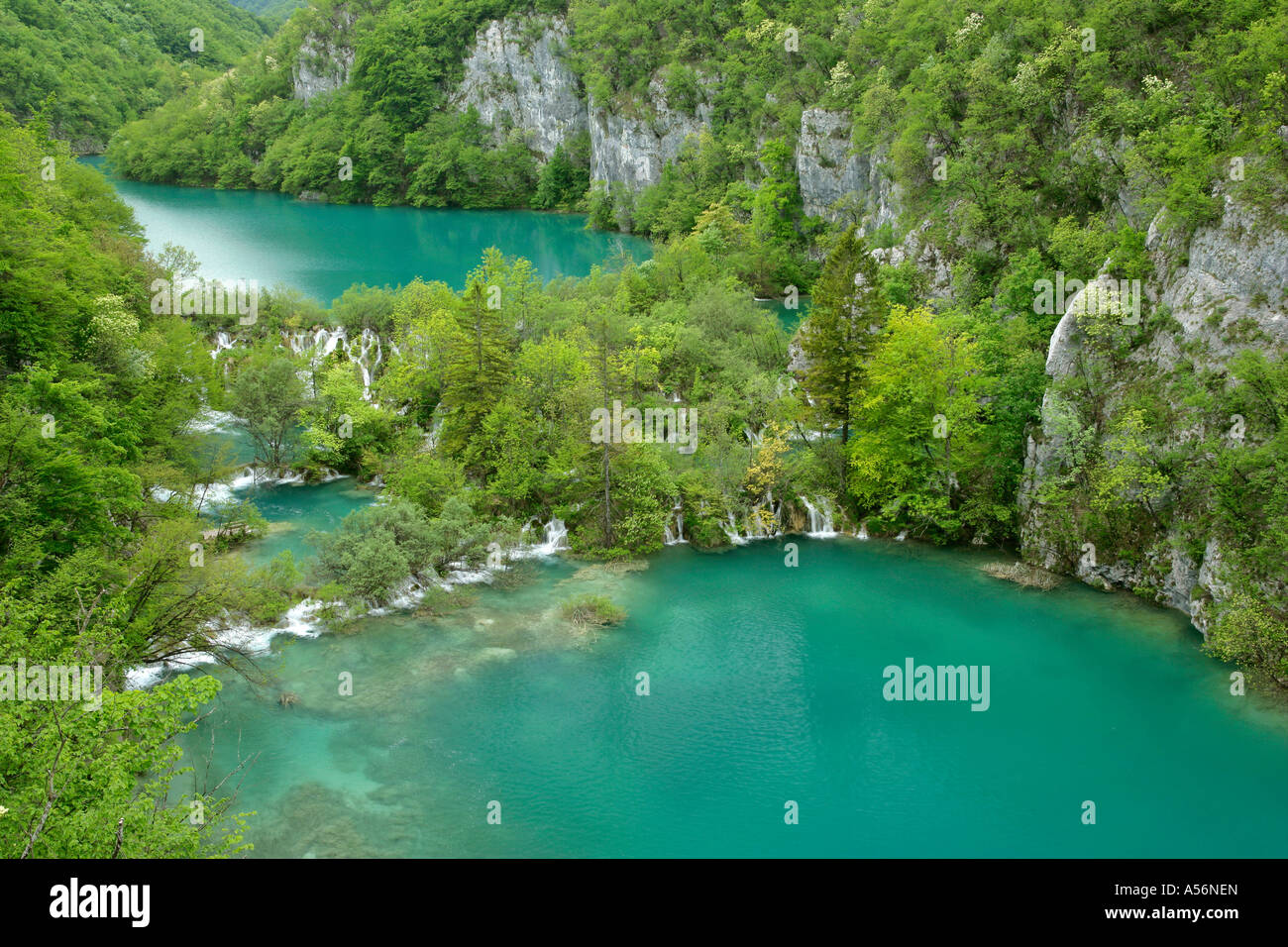 In vista del canyon con cascate e 'turqoise' laghi colorati Il Parco Nazionale dei Laghi di Plitvice in Croazia Foto Stock