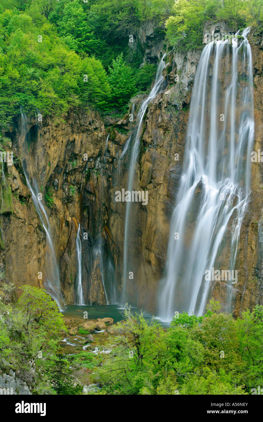 Plitvicer visto Kroatien la grande cascata di Veliki Slap Il Parco Nazionale dei Laghi di Plitvice in Croazia Foto Stock