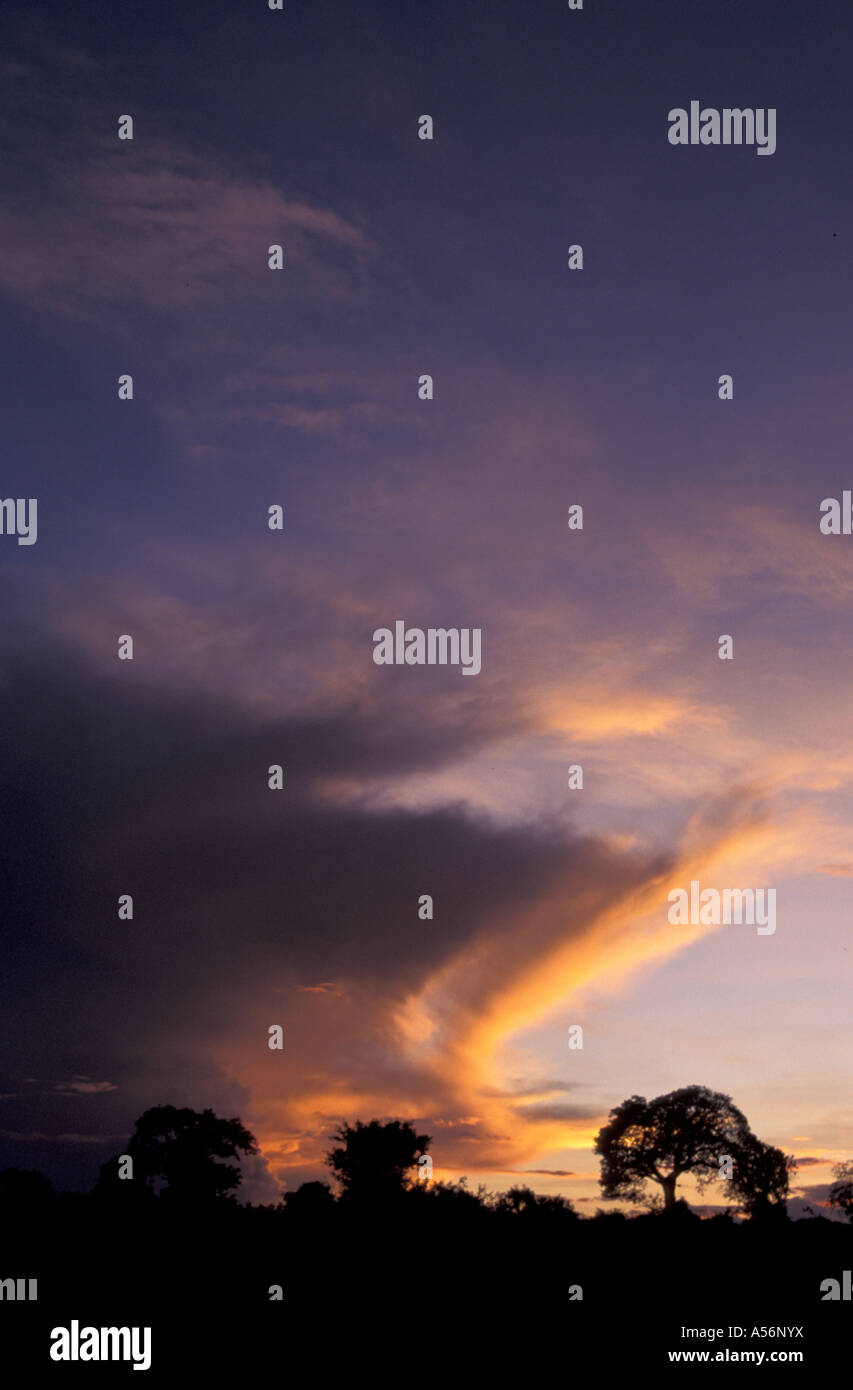 Painet iy8857 3862 tanzania paesaggio paese mugumu nazione in via di sviluppo meno sviluppati dal punto di vista economico la cultura emergente mercato Foto Stock