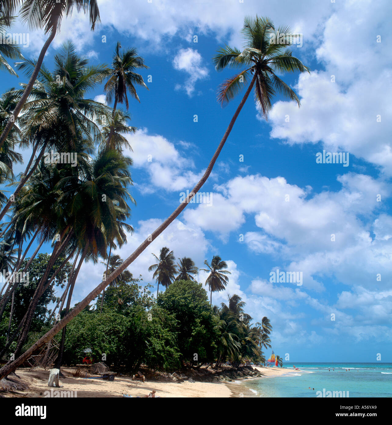 Spiaggia sulla costa ovest di Barbados, West Indies, dei Caraibi Foto Stock