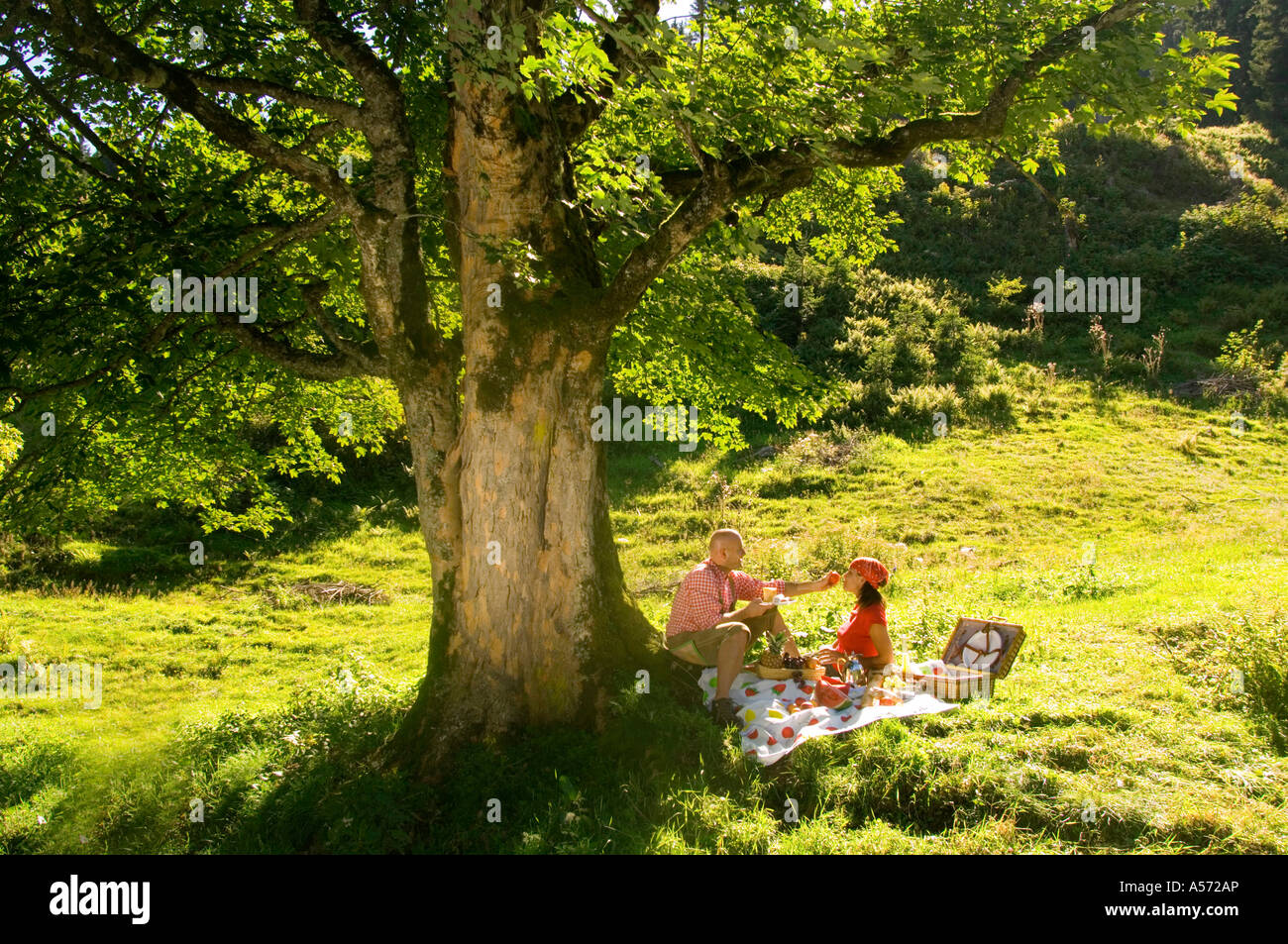 Giovane avente picnic nel prato, uomo donna di alimentazione Foto Stock