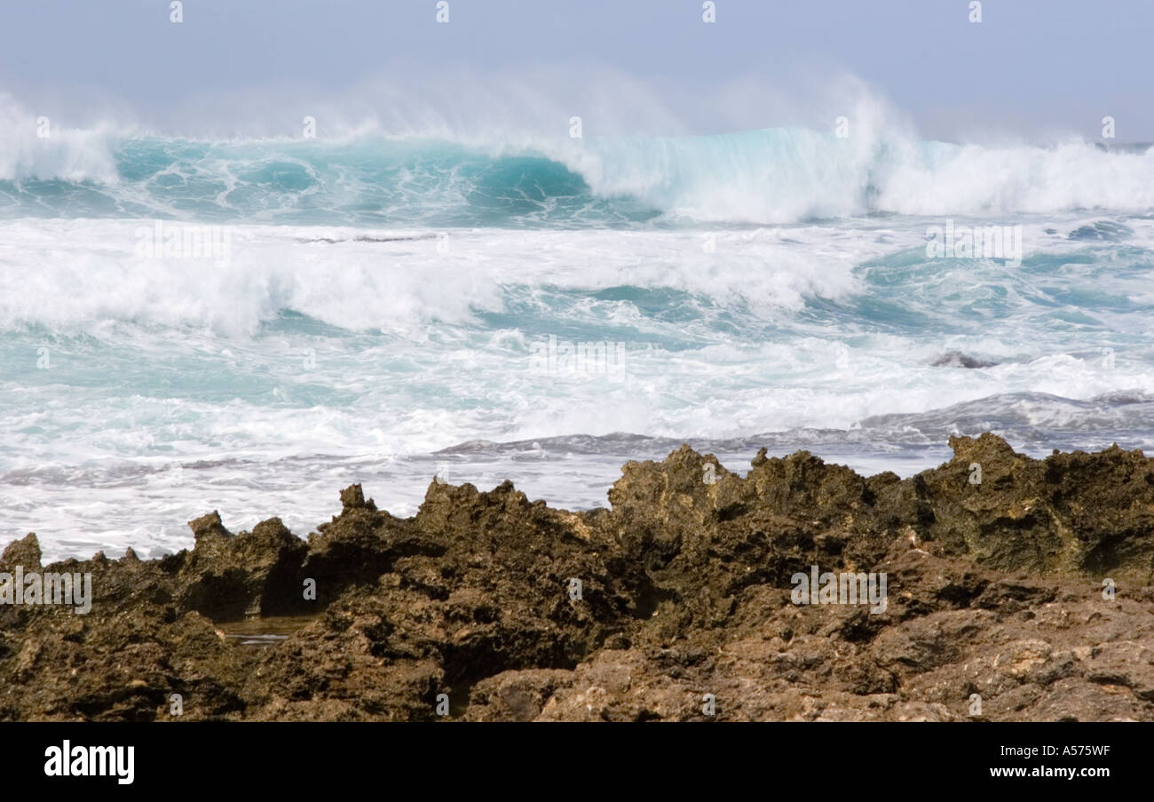 Spiaggia rocciosa e surf vicino a Haleiwa Oahu Hawaii Foto Stock