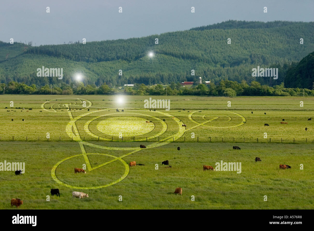 Crop Circle Foto Stock