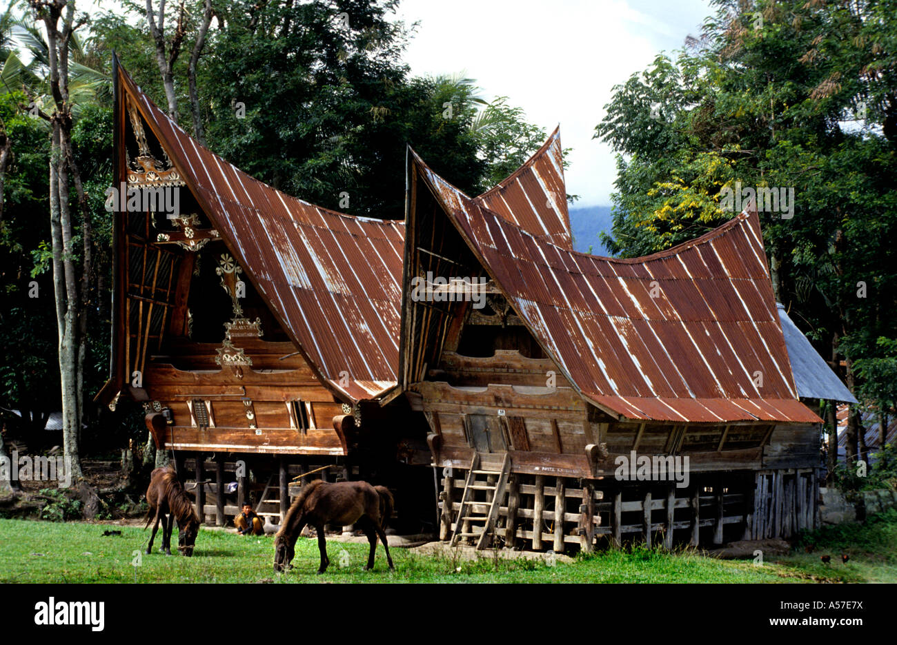 Samosir Long House 19-20 ° secolo. Toba Batak (Toba, Karo, Simalungun, Pak Pak, Mandailing, Angkola)tribù Batak, lago Toba, Sumatra, Indonesia) Foto Stock