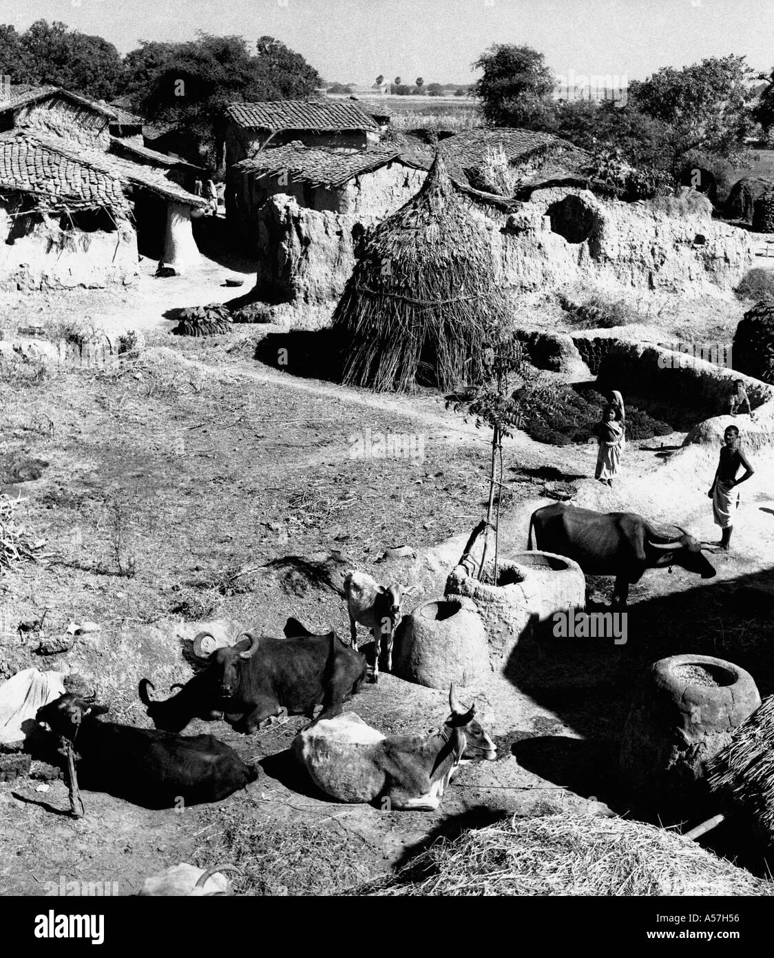 Vita in villaggio in India, Uttar Pradesh India 1953 Foto Stock