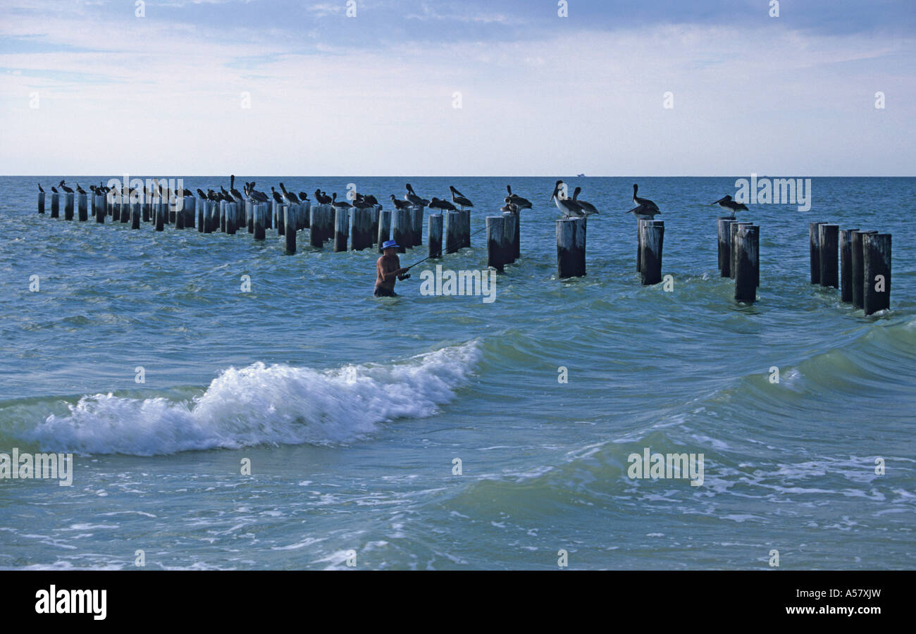 Pescatore in Naples Beach Florida USA Foto Stock