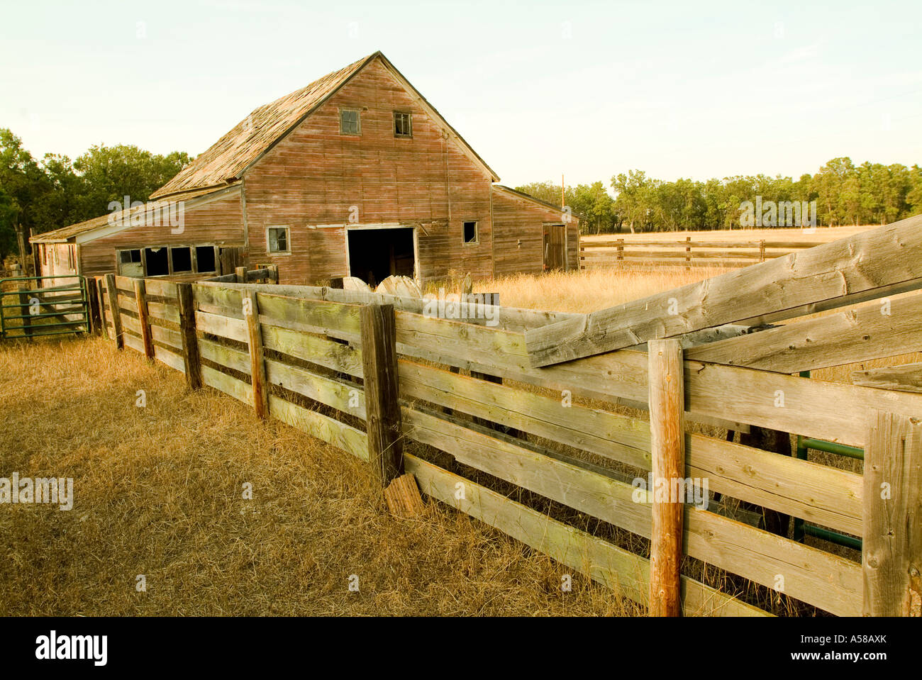 Granaio di un Dude Ranch coltello River Ranch North Dakota Foto Stock