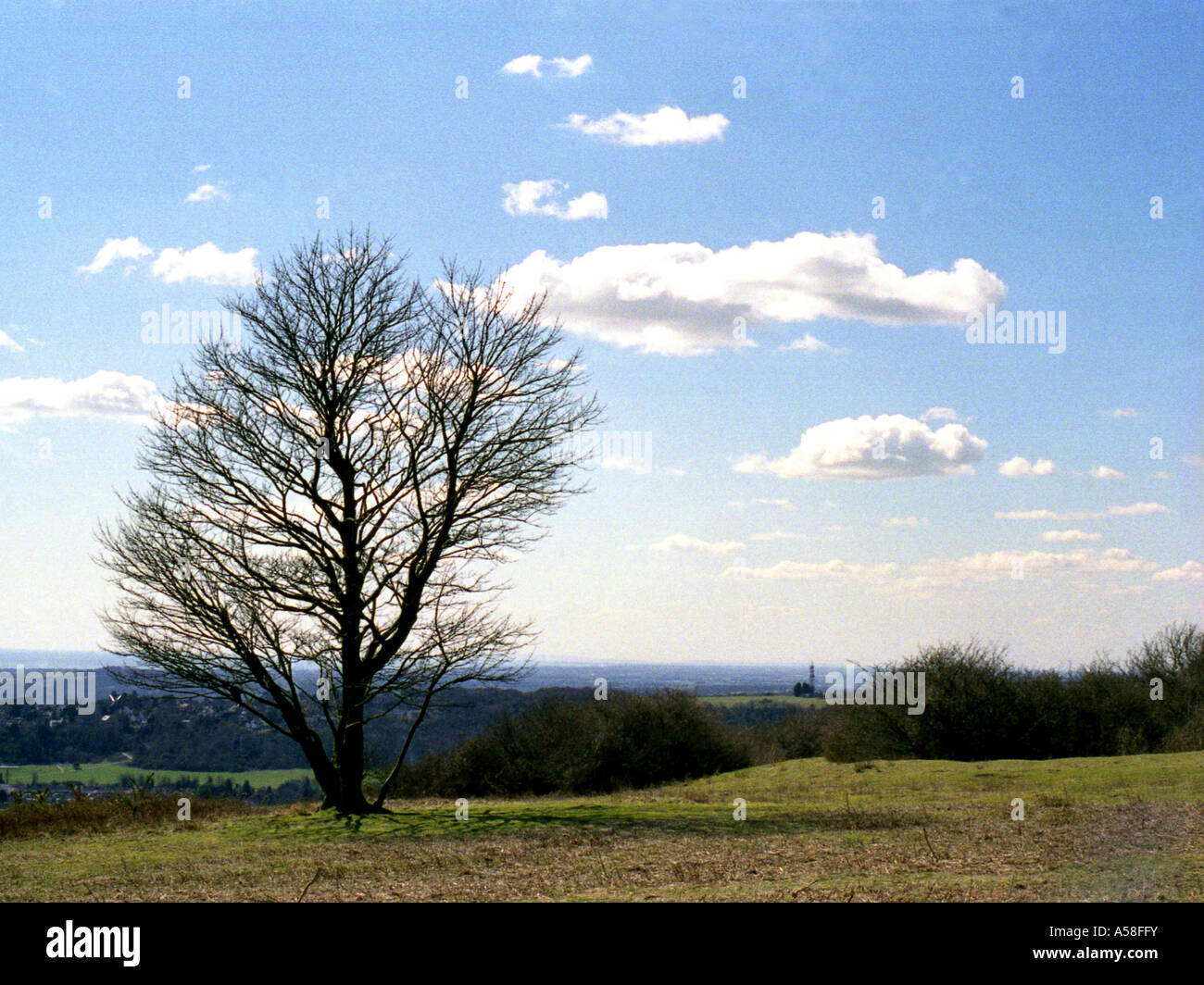 Una vista da Cissbury Ring sul South Downs, West Sussex, in primavera. Foto Stock