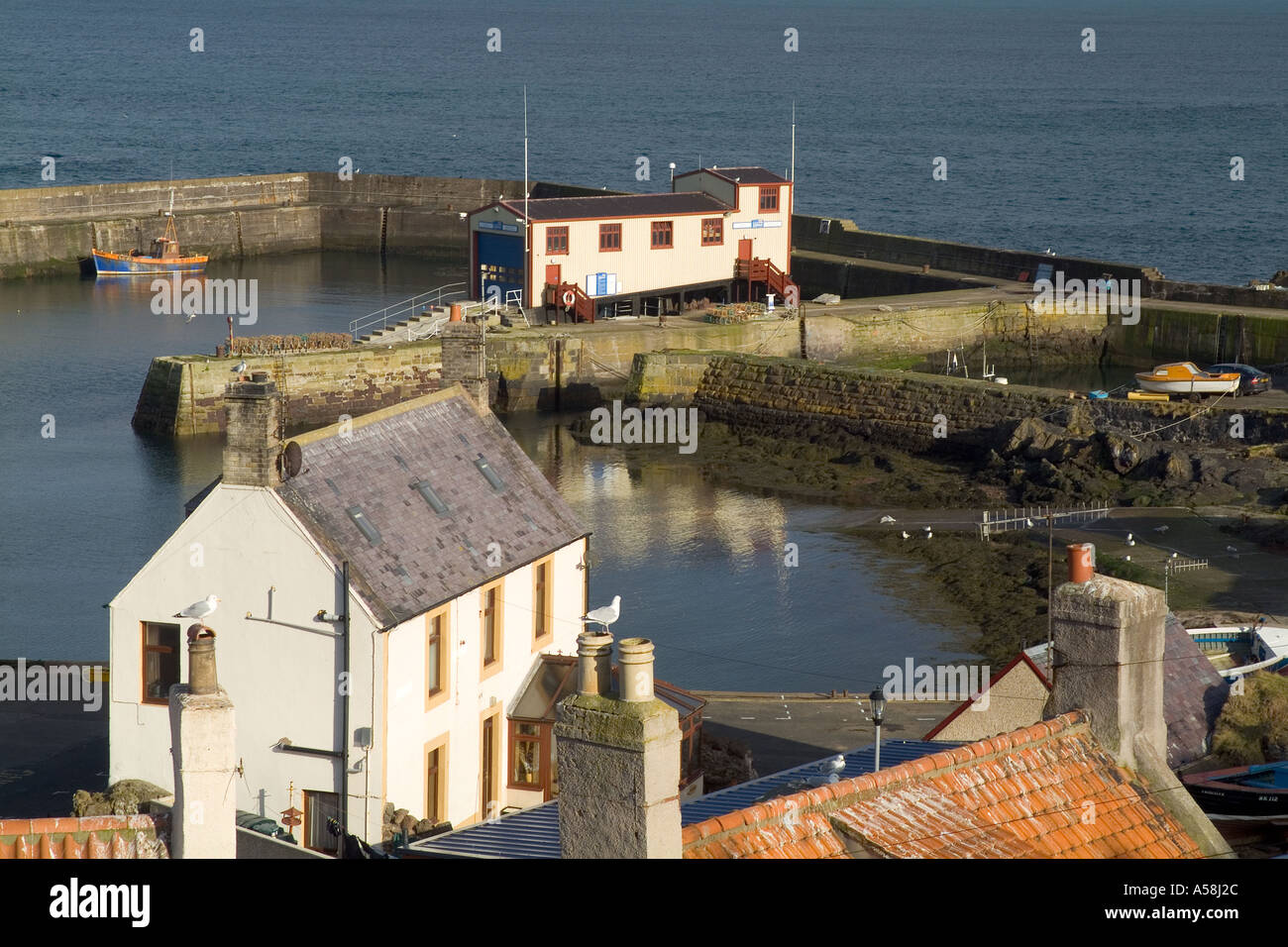 dh ST ABBS CONFINI villaggio di pesca case RNLI stazione salvagente porto scozzese porto di scozia Foto Stock