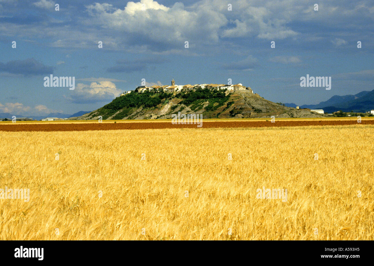 Campi di grano in Catalunya e Aragona province vicino Pirenei in Spagna Foto Stock