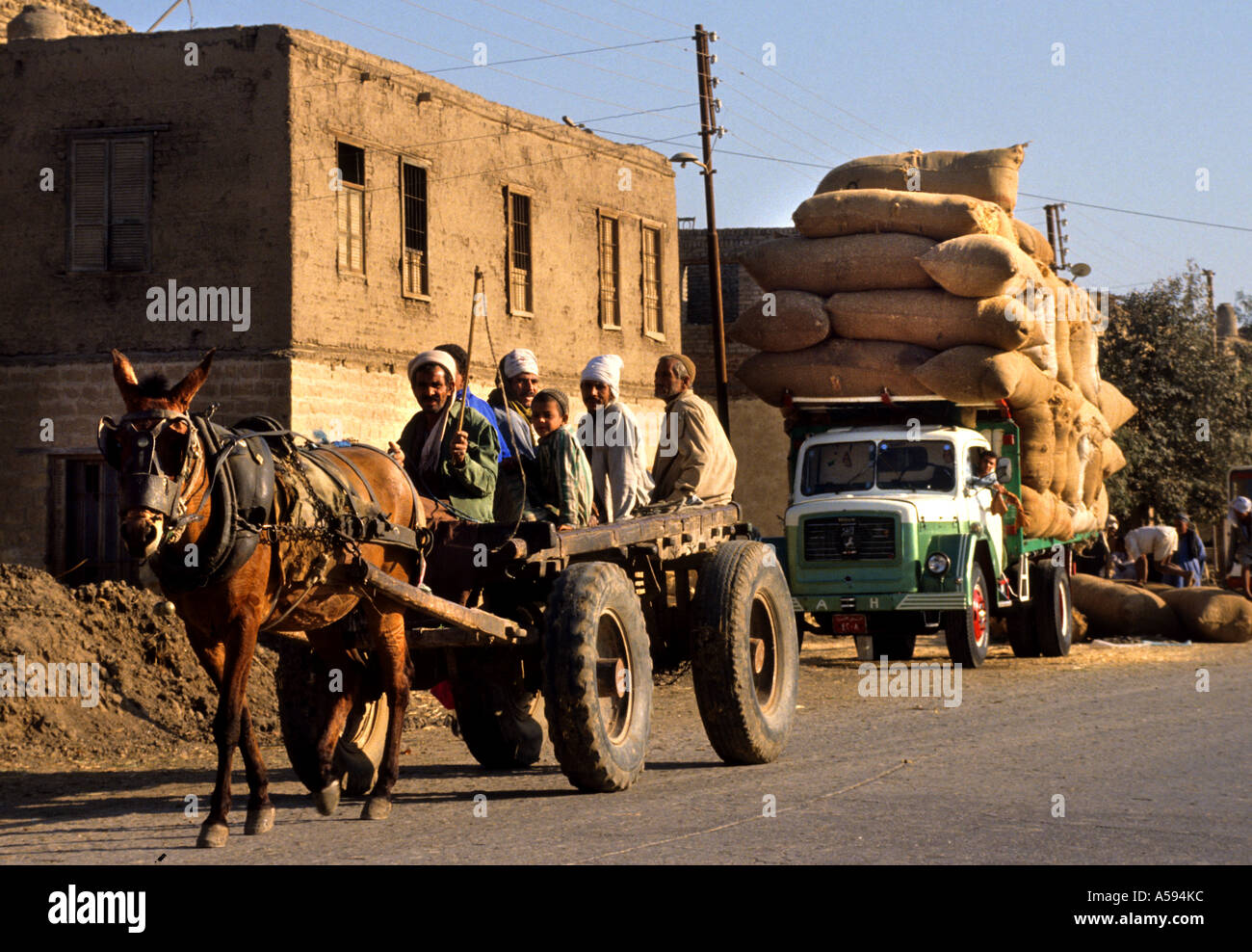 Il cotone egiziano Egitto trasporto carrello cavallo uomini Foto Stock