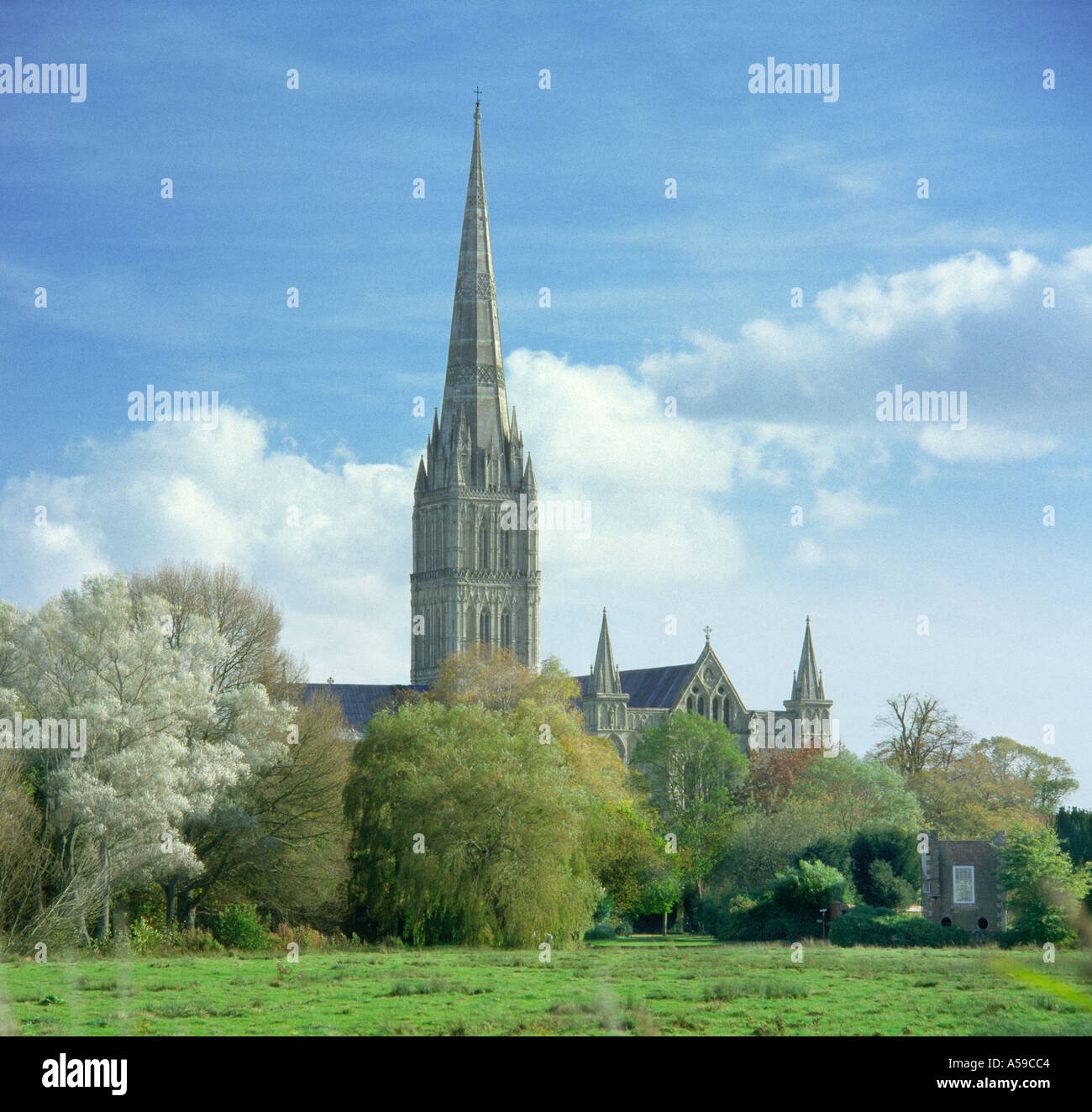 Cattedrale di salisbury dai prati immagini e fotografie stock ad alta