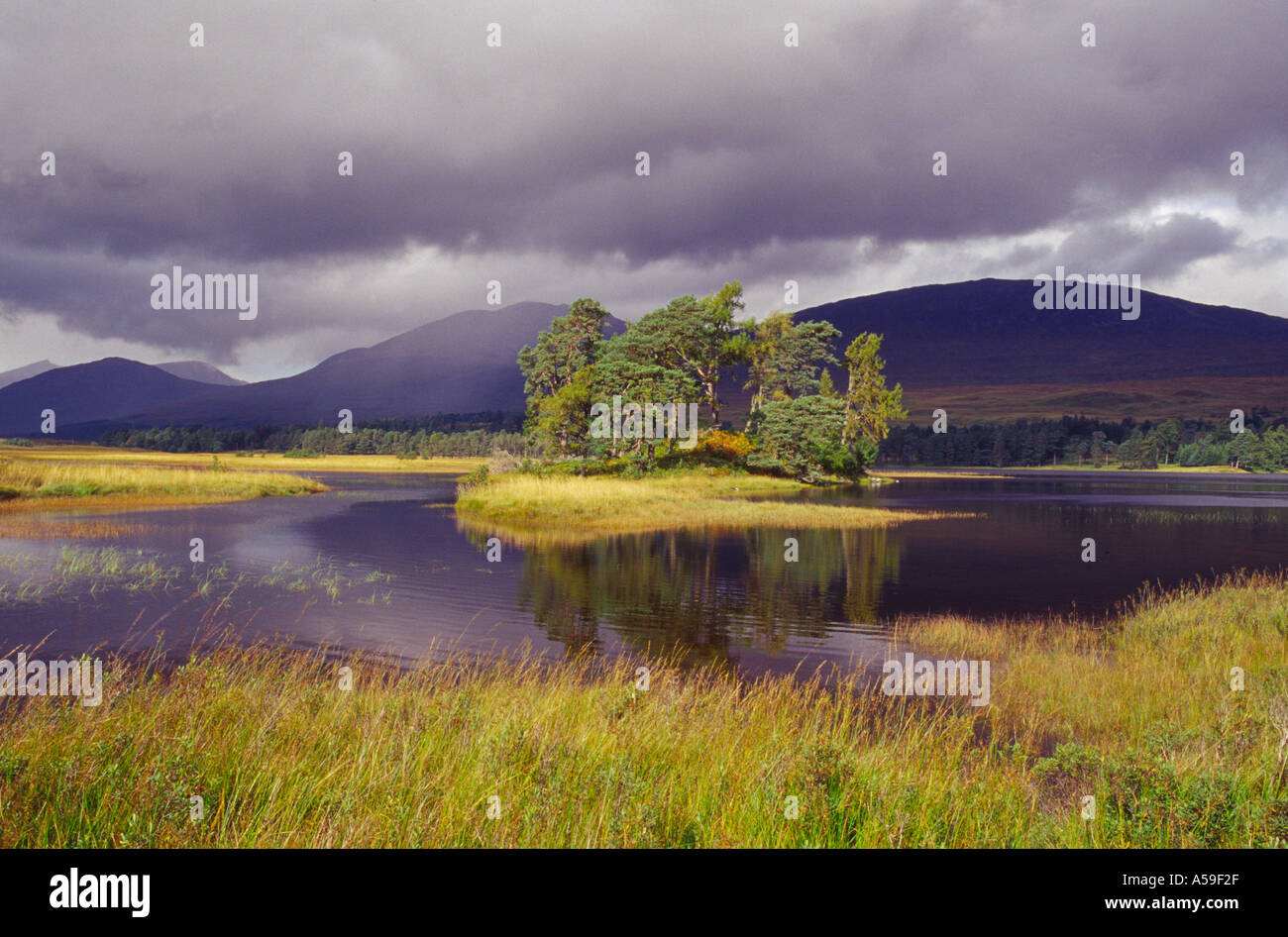 Loch Tulla vicino a Inveroran regione delle Highlands della Scozia Foto Stock