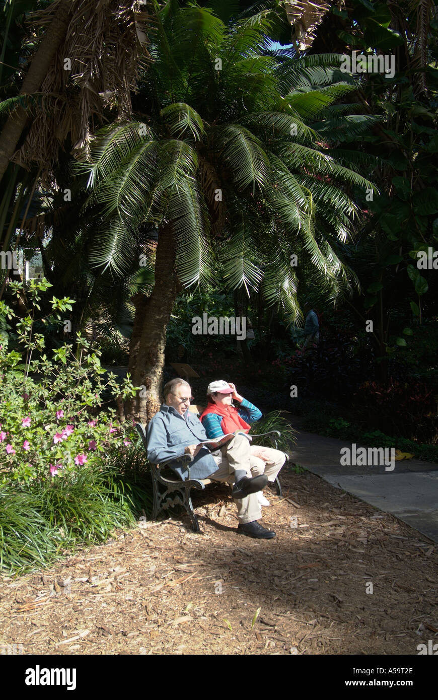 Sunken Gardens è un locale popolare attrazione turistica in St Petersburg Florida Foto Stock