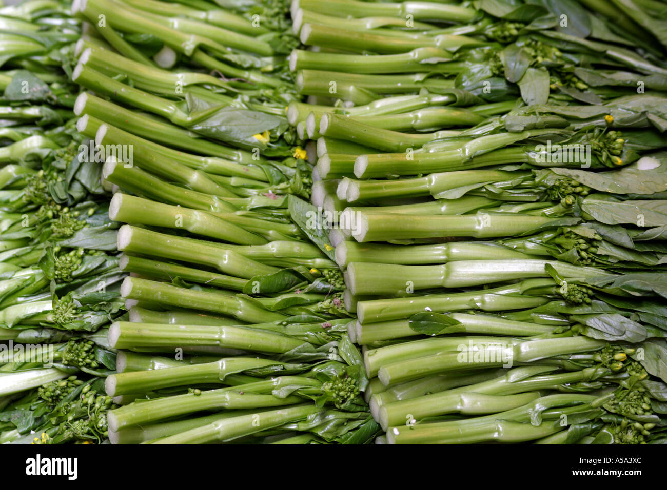 Broccoli cinesi, gai lan, broccoli rabe, verdure stagionali brocoli, Wanchai, sul mercato di Hong Kong Foto Stock