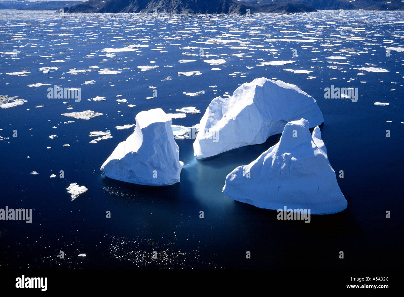 Iceberg lungo il costo del Labrador Foto Stock