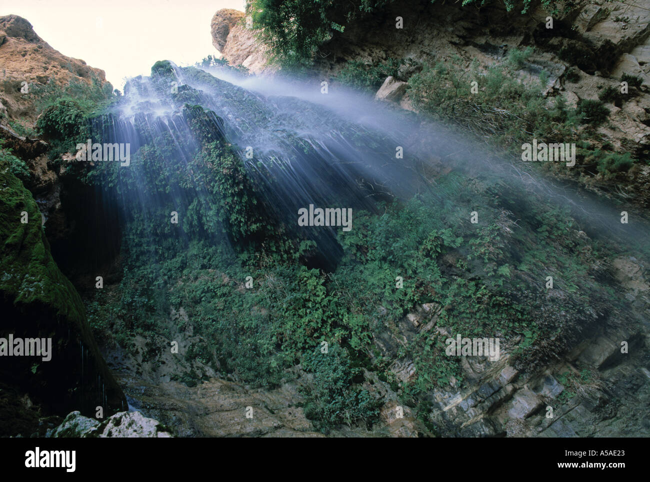 Cascata, Ein Gedi, Israele Foto Stock