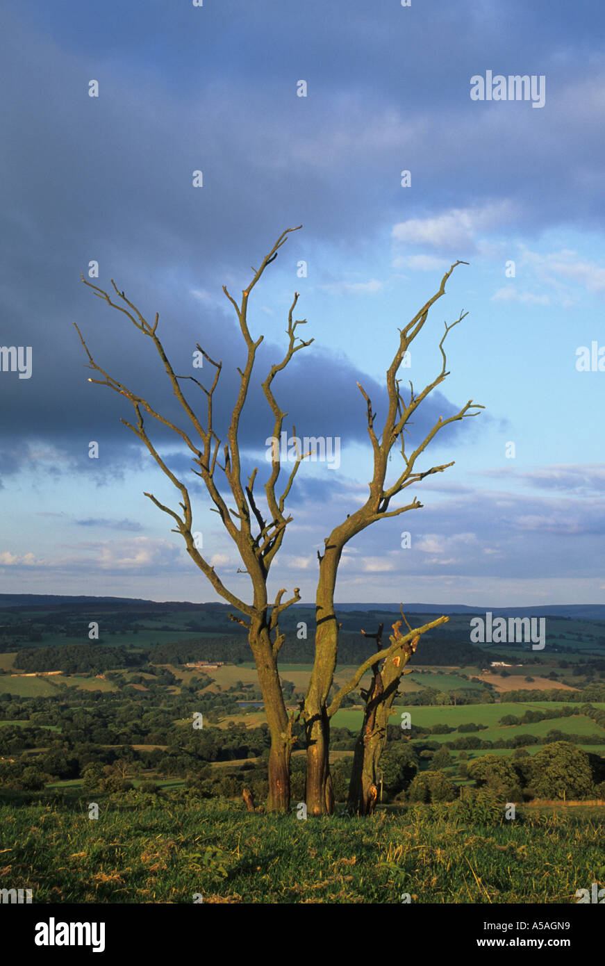 Tre morti, Staffordshire Moorlands Foto Stock