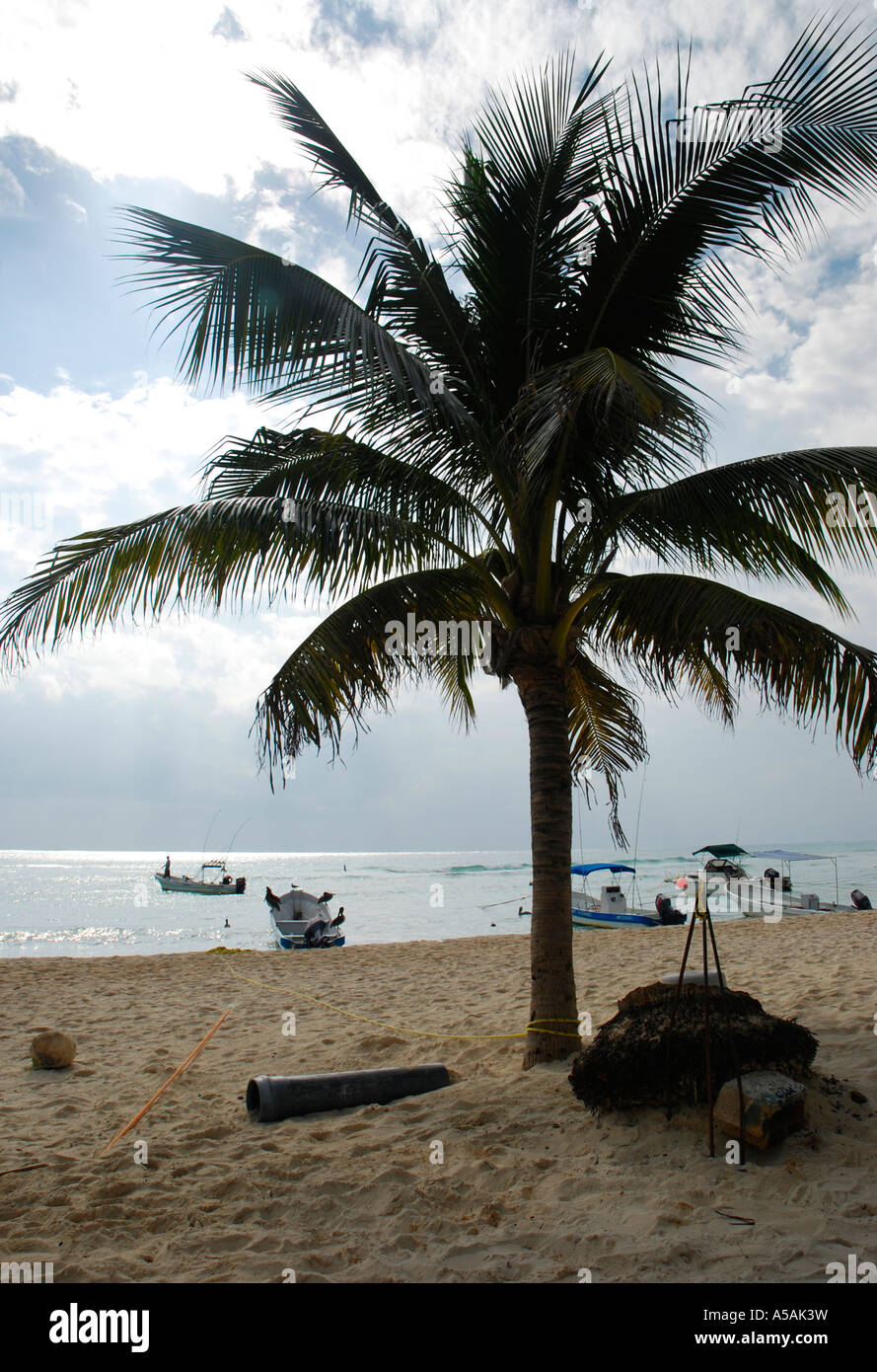La vita in spiaggia a dieci miglia di spiaggia di Playa del Carmen in Messico barche Palm tree Foto Stock